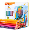 Deli Bojra Druri lapsa 24 cope  Color Emotion